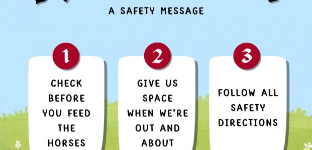 Equestrian Activities